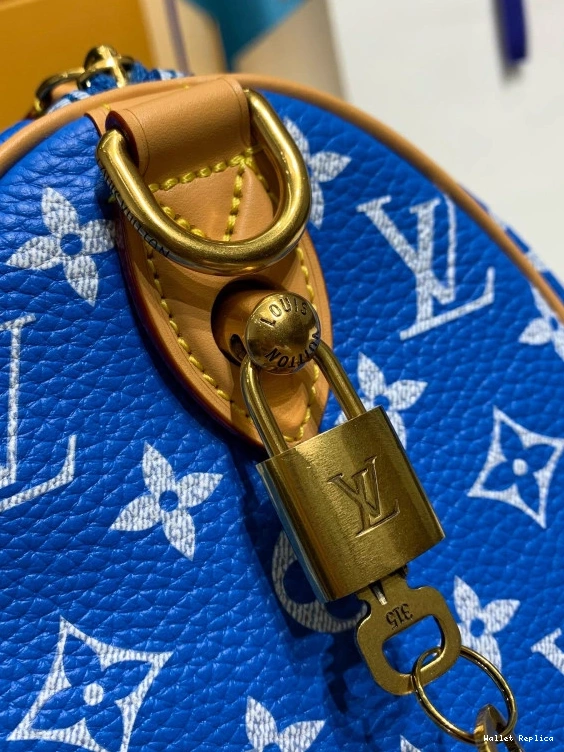 Affordable Vuitton 25 SPEEDY Louis 0810